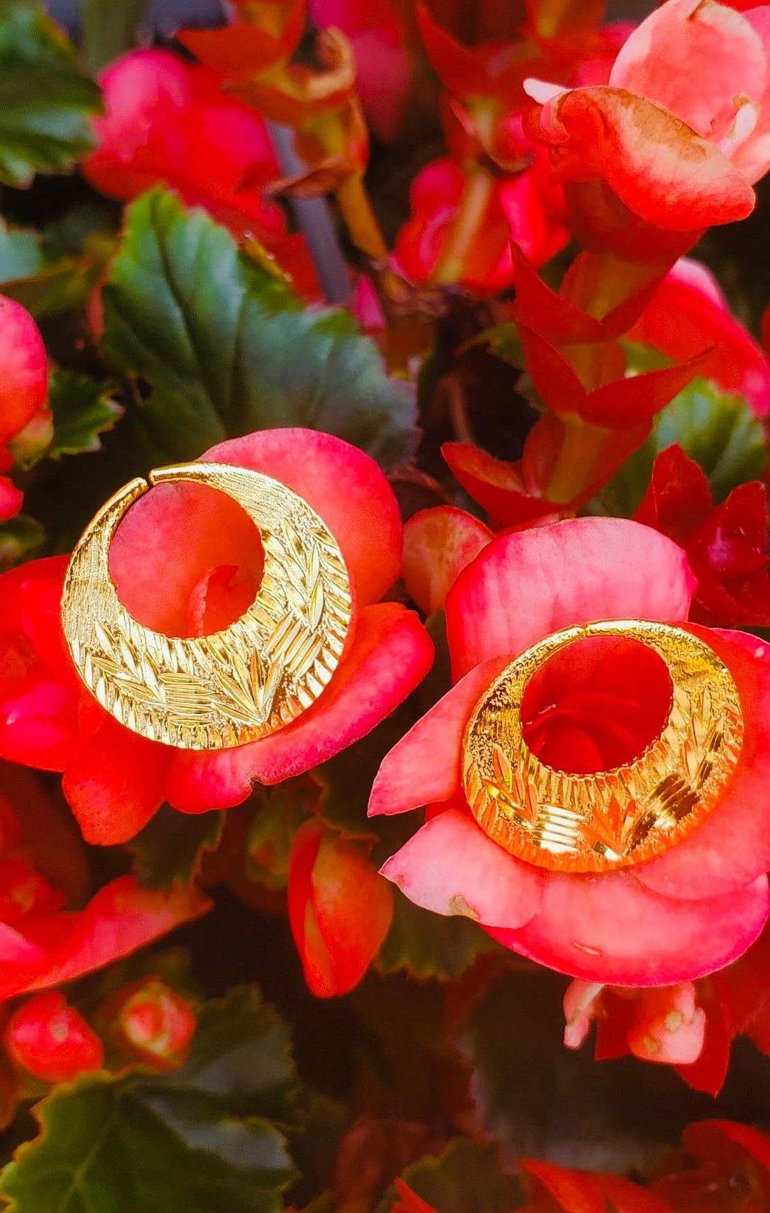 Boucles d'oreilles Nattiyan à la mode en argent véritable et or 24 carats