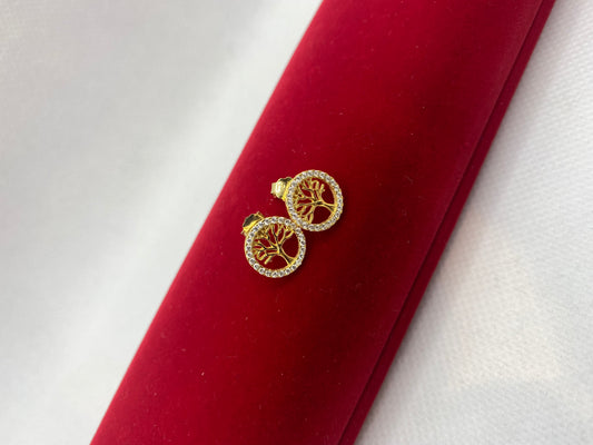 Clous d'oreilles en argent sterling 925