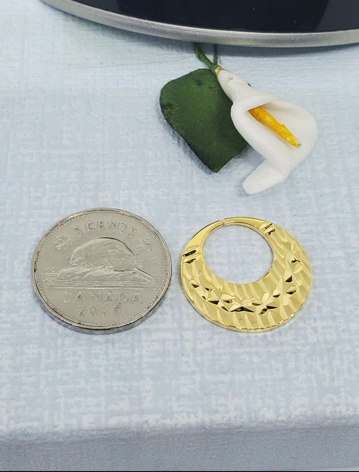 ਵੋਗੁਇਸ਼ ​​ਨਟੀਅਨ ਵਾਲੀਆਂ